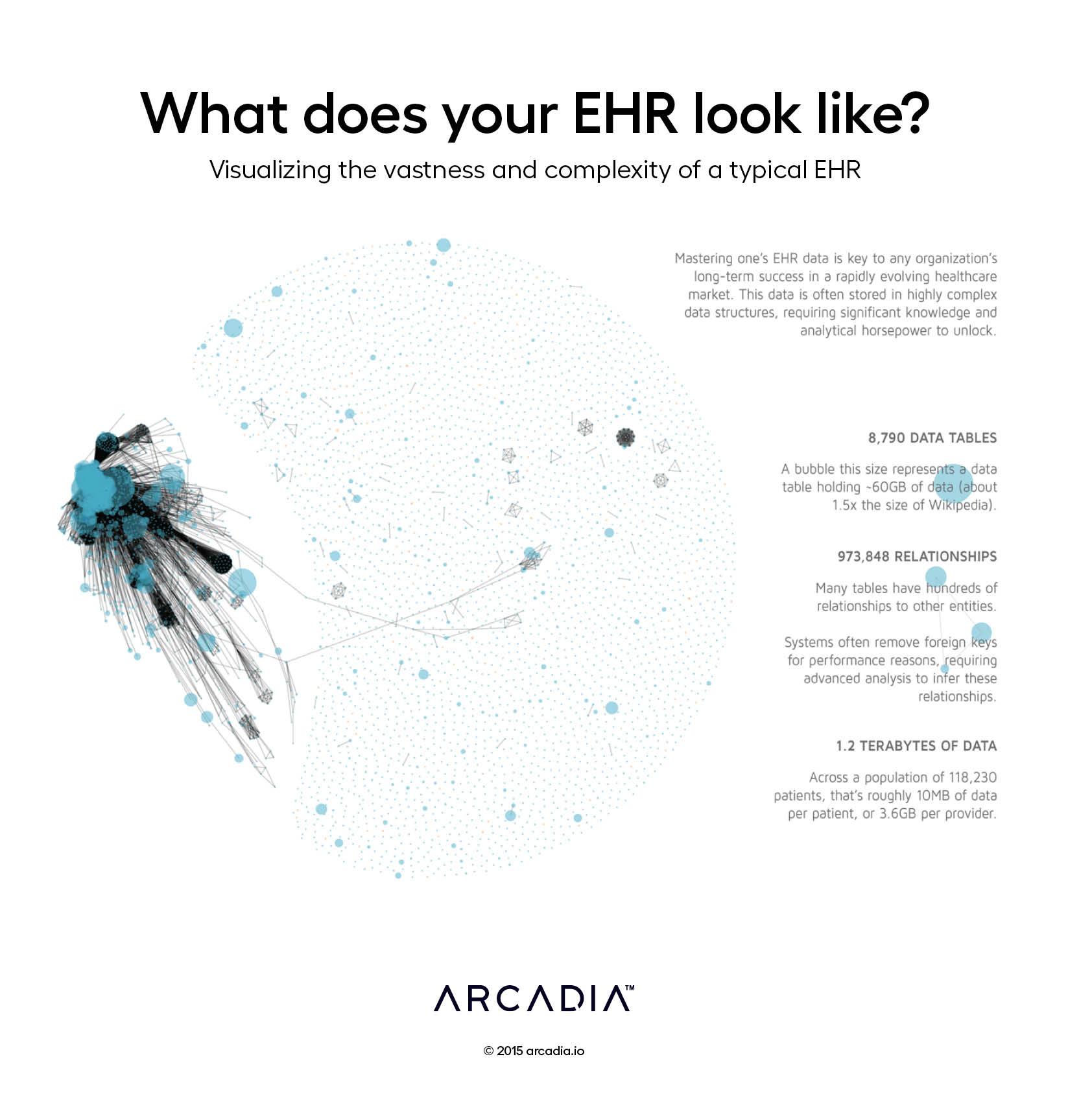 What does your EHR look like?