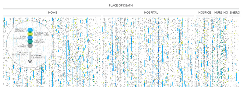 Close up of visualization showing patients arrayed by place of death.