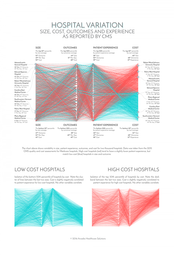 Data visualization "Weaving Hospital Variation"