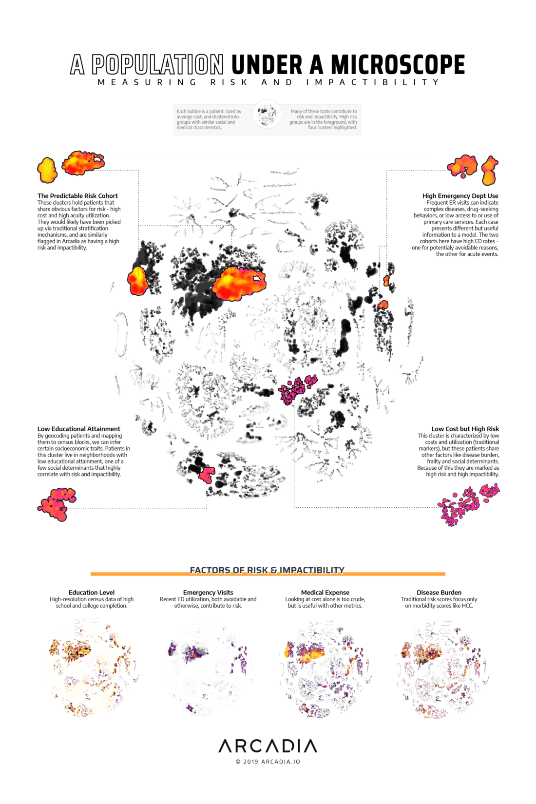 A Population Under a Microscope