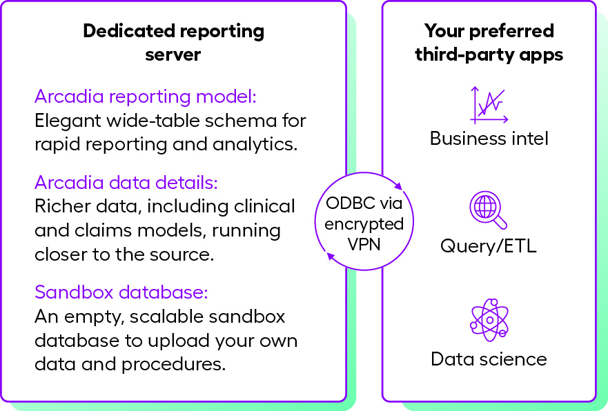 Dedicated reporting server offering rapid reporting and analytics with sandbox database for your own data and procedures pairing with your third-party apps